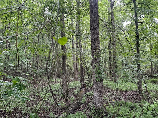 7 Saw Mill Rd, Palmer, TN 37365 - photo 4