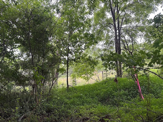 7 Saw Mill Rd, Palmer, TN 37365 - photo 3