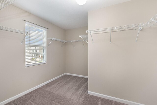 1720 Sunray Dr, Murfreesboro, TN 37127 - photo 16