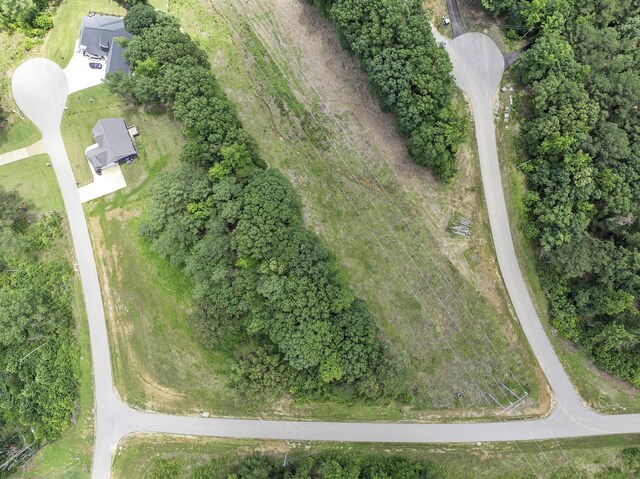 0 Shoreline Dr, Huntingdon, TN 38344 - photo 3