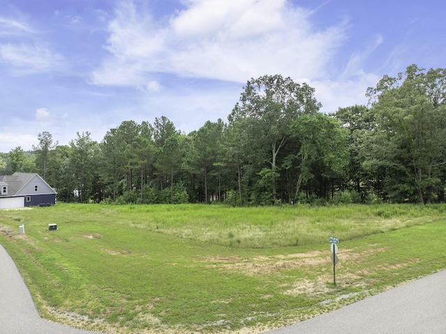 0 Shoreline Dr, Huntingdon, TN 38344 - photo 14
