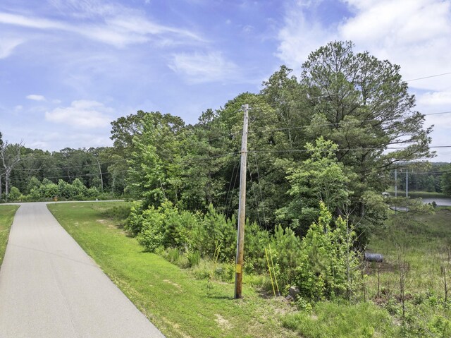 0 Shoreline Dr, Huntingdon, TN 38344 - photo 15