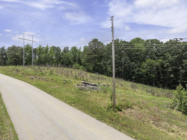 0 Shoreline Dr, Huntingdon, TN 38344 - photo 9