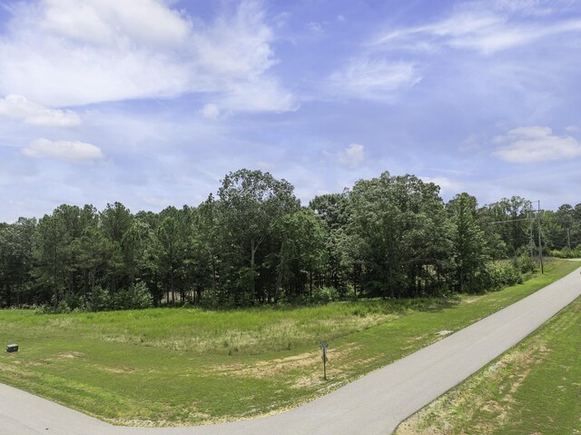 0 Shoreline Dr, Huntingdon, TN 38344 - photo 8
