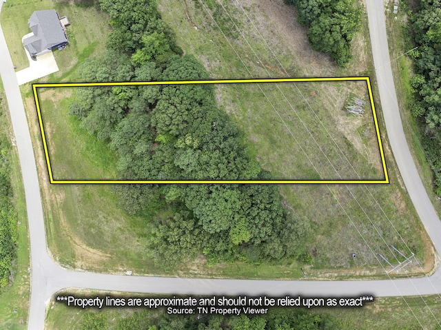 0 Shoreline Dr, Huntingdon, TN 38344 - photo 2
