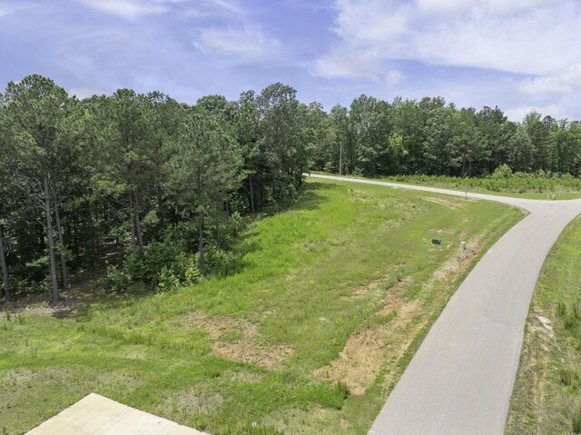 0 Shoreline Dr, Huntingdon, TN 38344 - photo 7