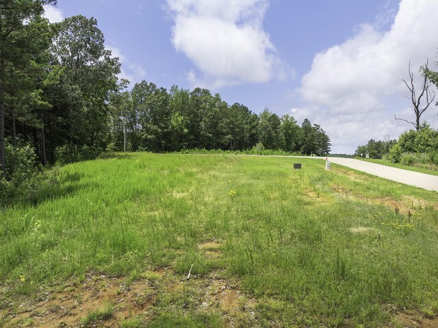 0 Shoreline Dr, Huntingdon, TN 38344 - photo 12