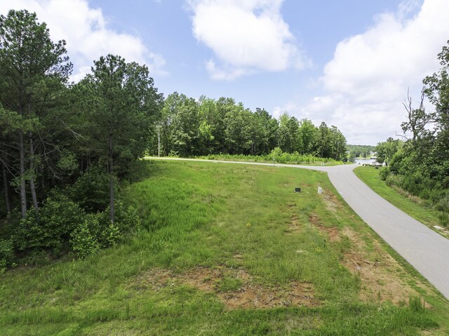 0 Shoreline Dr, Huntingdon, TN 38344 - photo 13