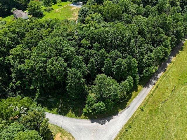 1360 Shrum Cemetery Rd, Westmoreland, TN 37186 - photo 5