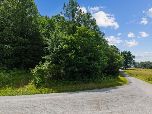 1360 Shrum Cemetery Rd, Westmoreland, TN 37186 - photo 28