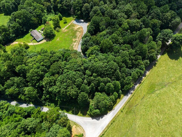 1360 Shrum Cemetery Rd, Westmoreland, TN 37186 - photo 6