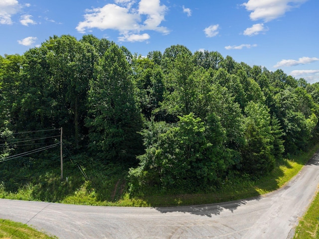 1360 Shrum Cemetery Rd, Westmoreland, TN 37186 - photo 3