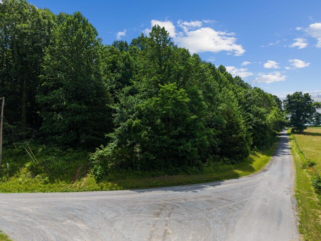 1360 Shrum Cemetery Rd, Westmoreland, TN 37186 - photo 26