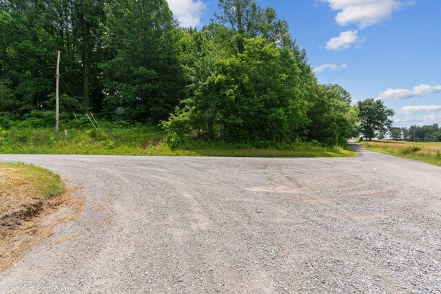 1360 Shrum Cemetery Rd, Westmoreland, TN 37186 - photo 30