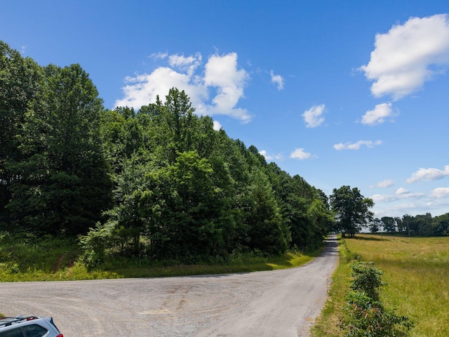 1360 Shrum Cemetery Rd, Westmoreland, TN 37186 - photo 25