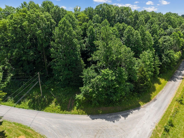 1360 Shrum Cemetery Rd, Westmoreland, TN 37186 - photo 4