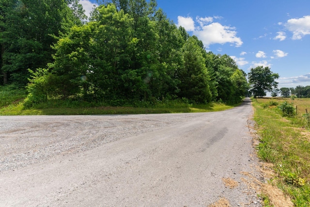 1360 Shrum Cemetery Rd, Westmoreland, TN 37186 - photo 32