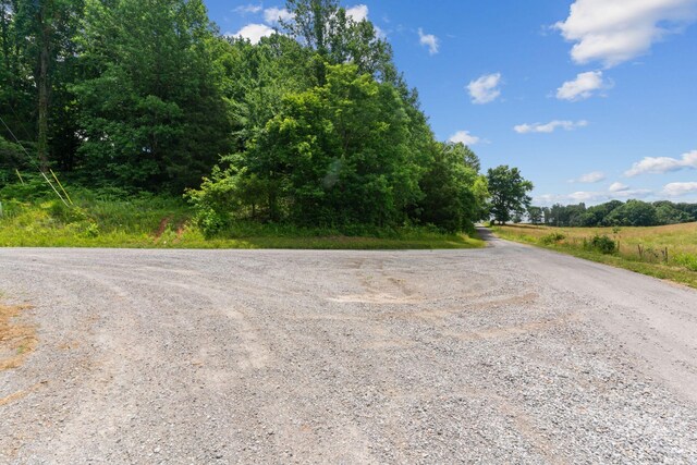 1360 Shrum Cemetery Rd, Westmoreland, TN 37186 - photo 31