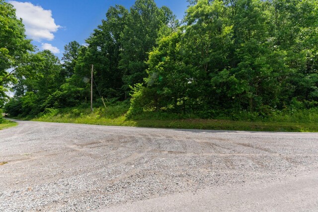 1360 Shrum Cemetery Rd, Westmoreland, TN 37186 - photo 33