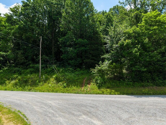1360 Shrum Cemetery Rd, Westmoreland, TN 37186 - photo 29
