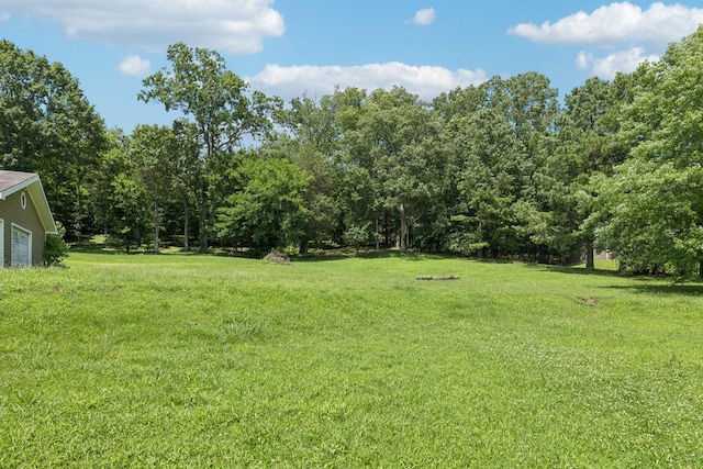 3692 Neeley Hollow Rd, Columbia, TN 38401 - photo 94