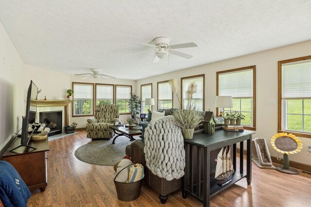 3692 Neeley Hollow Rd, Columbia, TN 38401 - photo 52