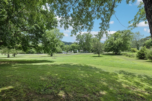 3692 Neeley Hollow Rd, Columbia, TN 38401 - photo 74