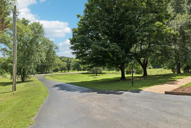 3692 Neeley Hollow Rd, Columbia, TN 38401 - photo 96