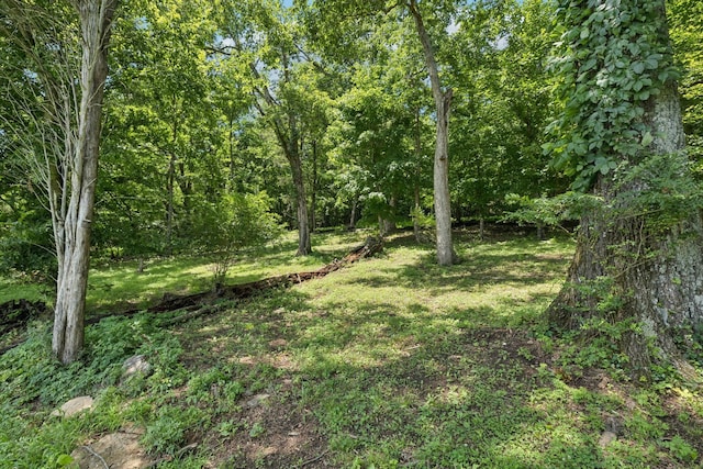 3692 Neeley Hollow Rd, Columbia, TN 38401 - photo 90