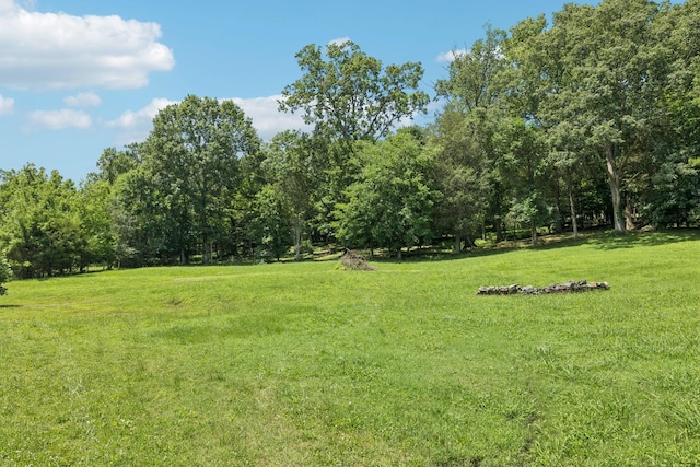 3692 Neeley Hollow Rd, Columbia, TN 38401 - photo 87