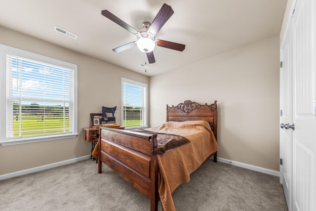 210 Masters Way, Fayetteville, TN 37334 - photo 26