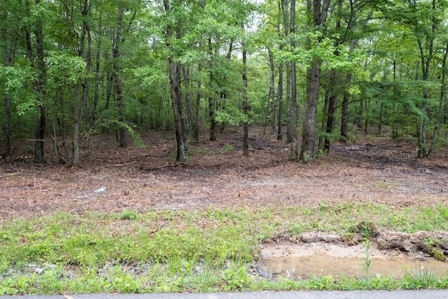 0 Pepper Rd, Taft, TN 38488 - photo 1