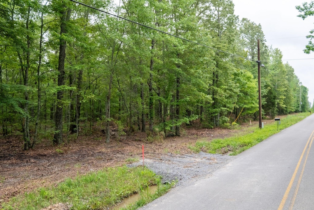 0 Pepper Rd, Taft, TN 38488 - photo 2