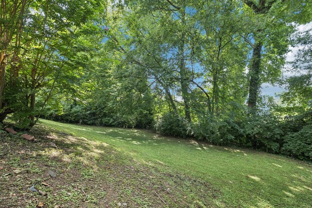 2533 Edge O Lake Dr, Nashville, TN 37217 - photo 54