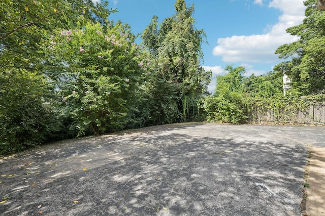 2533 Edge O Lake Dr, Nashville, TN 37217 - photo 58