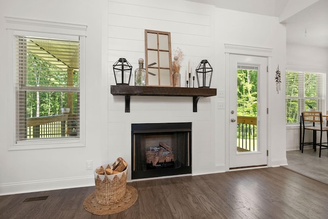 4049 Sadie Grace Way NW, Clarksville, TN 37042 - living area with dark wood-style floors and a fireplace
