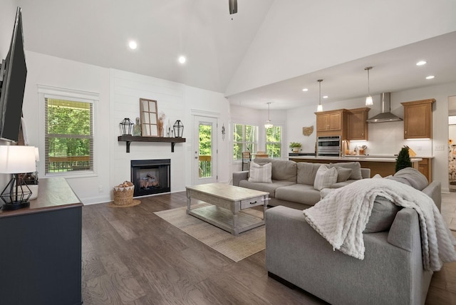 4049 Sadie Grace Way NW, Clarksville, TN 37042 - living area featuring recessed lighting, dark wood finished floors, a large fireplace, and high vaulted ceiling