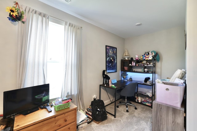 511 Oakvale Ln, Mount Juliet, TN 37122 - home office with carpet flooring