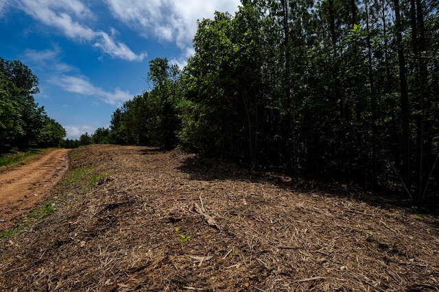 0 Old Mail Rd, Duck River, TN 38454