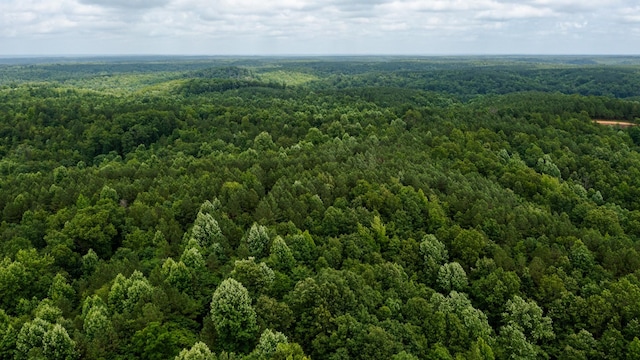 0 Old Mail Rd, Duck River, TN 38454