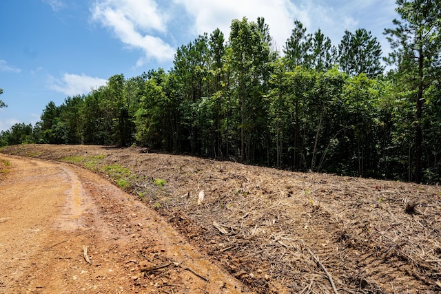 0 Old Mail Rd, Duck River, TN 38454