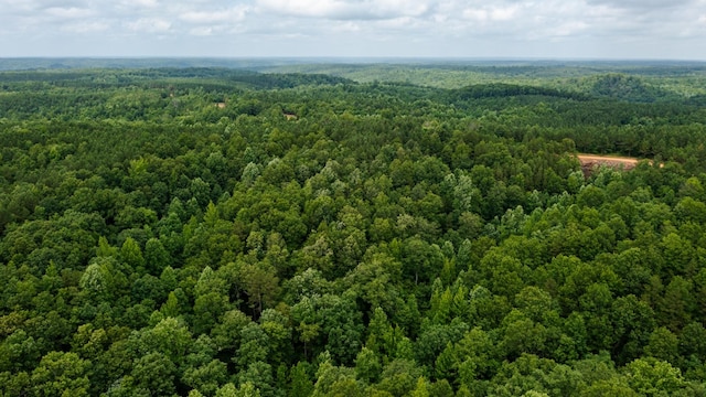 0 Old Mail Rd, Duck River, TN 38454