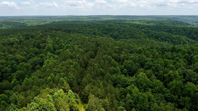 0 Old Mail Rd, Duck River, TN 38454