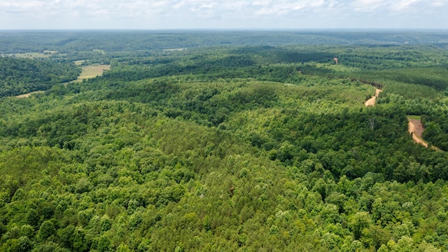 0 Old Mail Rd, Duck River, TN 38454