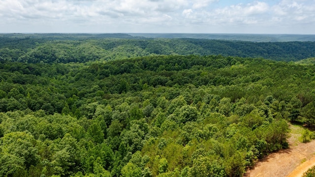 0 Old Mail Rd, Duck River, TN 38454