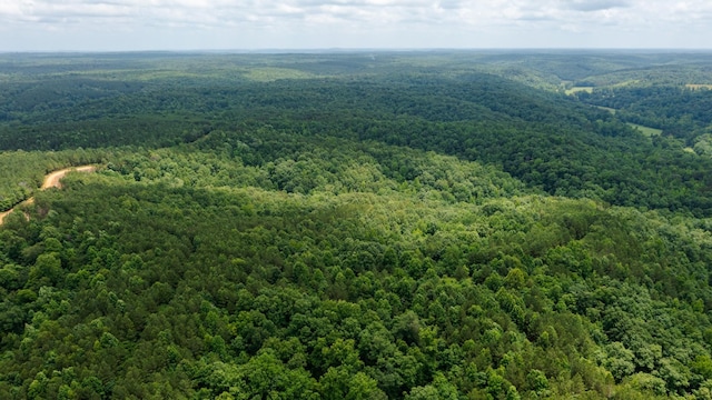 0 Old Mail Rd, Duck River, TN 38454