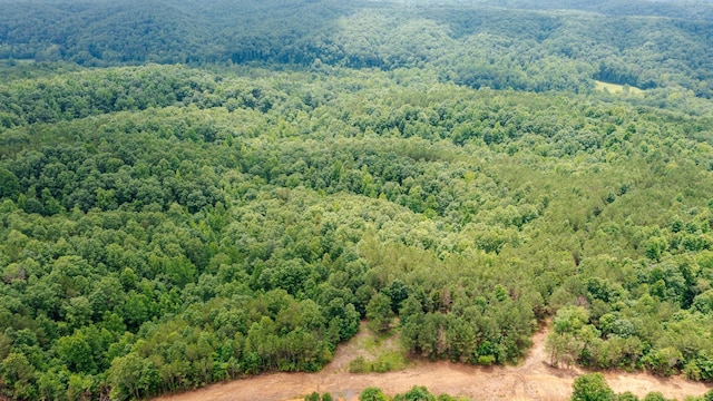 0 Old Mail Rd, Duck River, TN 38454