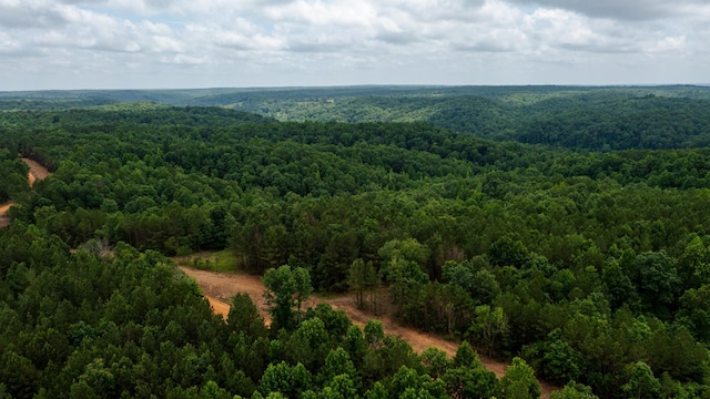 0 Old Mail Rd, Duck River, TN 38454