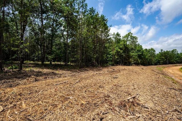 0 Old Mail Rd, Duck River, TN 38454