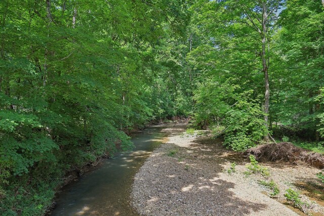 1319 Garrettsburg Rd, Clarksville, TN 37042 - photo 100